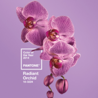 Radiant Orchid: il colore Pantone 2014
